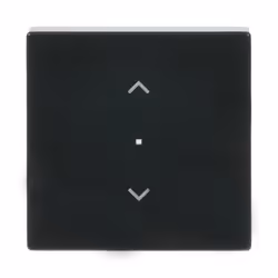 Busch-Jaeger 6232-10-81, Antracite, Termoplastica, Senza viti, Busch-Jaeger, Lucido, Frontalino