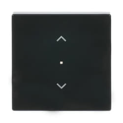 Busch-Jaeger 6232-10-81 Antracite