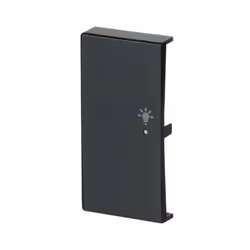 Busch-Jaeger 6231-21-81 Antracite