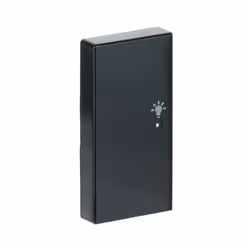 Busch-Jaeger 6231-21-81 Antracite