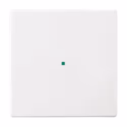 Busch-Jaeger 2CKA001582A0364