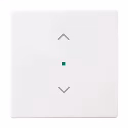 Busch-Jaeger 2CKA001582A0366