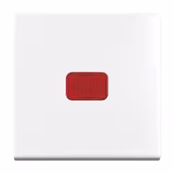 Busch-Jaeger 2509-914, Bianco, Termoplastica, Senza viti, Busch-Jaeger, Lucido, IP20