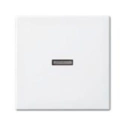 Busch-Jaeger 1731-0-2009 Placca copripresa e copri interruttori Bianco
