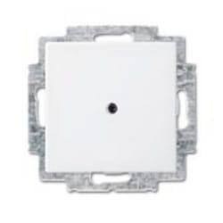 Busch-Jaeger 1715-0-0319 Placca copripresa e copri interruttori Bianco