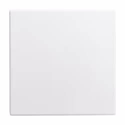 Busch-Jaeger 1576 C-914, Bianco, Termoplastica, Senza viti, Busch-Jaeger, Lucido, IP20