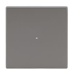 Busch-Jaeger 6230-10-866 Acciaio inox
