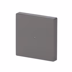 Busch-Jaeger 6230-10-866 Acciaio inox