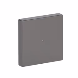 Busch-Jaeger 6230-10-866 Acciaio inox