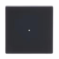 Busch-Jaeger 6230-10-885, Nero, Termoplastica, Senza viti, Busch-Jaeger, Opaco, Frontalino