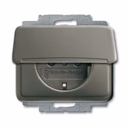 Busch-Jaeger 4011395218402, Tipo F, 2P+E, Grigio, 250 V, 16 A