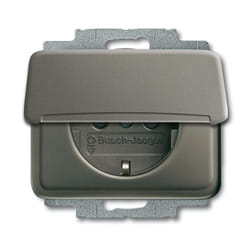 Busch-Jaeger 4011395218402 presa energia Tipo F Grigio
