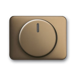 Busch-Jaeger 6540-21 Bronzo