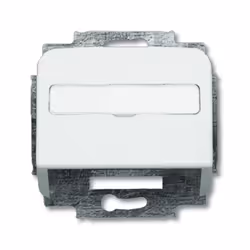 Busch-Jaeger 1724-0-1663, Argento, Bianco, Busch-Jaeger, 55 mm, 54 mm, 3,9 cm, 53,7 x 11,7 mm