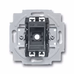 Busch-Jaeger 1012-0-1713, 1P, Metallico, 250 V, 10 A