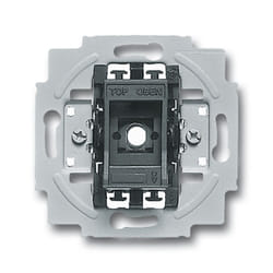 Busch-Jaeger 1012-0-1713 interruttore elettrico 1P Metallico