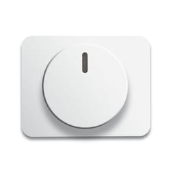 Busch-Jaeger 6540-24G Bianco