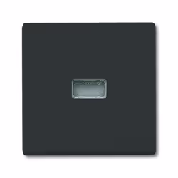 Busch-Jaeger 2107-35, Nero, Busch-Jaeger, 70 mm, 70 mm, 1,3 cm, 1 pz