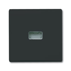 Busch-Jaeger 2107-35 Nero