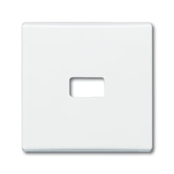 Busch-Jaeger 2120-32 Bianco