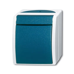 Busch-Jaeger 2601/2 W-53 1P Verde, Grigio