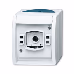 Busch-Jaeger 2661 W-53, Verde, Bianco, IP44