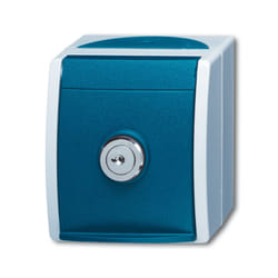 Busch-Jaeger 2083-0-0823 presa energia CEE 7/3 Blu, Bianco