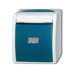 Busch-Jaeger 1484-0-0373 interruttore della luce Blu, Grigio