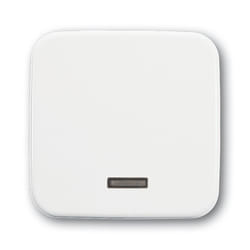 Busch-Jaeger 6543-214-102 Bianco