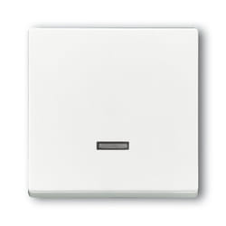 Busch-Jaeger 6543-84-101 Bianco