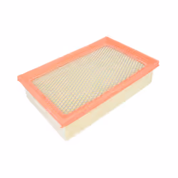 Filtro aria MANN-FILTER C 25 021