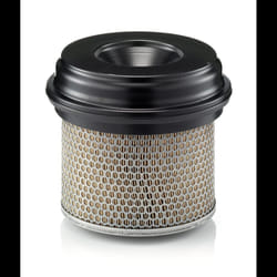 MANN-FILTER C 21 338 Filtro aria 221 210, 252 Cartuccia filtro MERCEDES-BENZ: NG