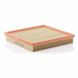 Filtro aria; MANN-FILTER; 41 258 258 Cartuccia filtro; per FORD; 6194571, 919F9601AA