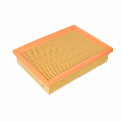 Filtro aria MANN-FILTER C 25 114/1