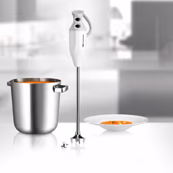 ESGE G 350 Gastro Max Frullatore ad immersione 350 W Grigio, Bianco - Vista aggiuntiva 6