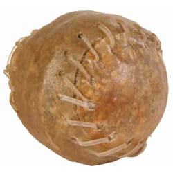TRIXIE 2673 Cane Spuntini 170 g
