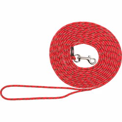 TRIXIE 19930, Cane, XXS-XS