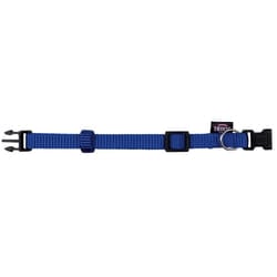TRIXIE 20142 collare per cani e gatti Blu Nylon XS-S Cane Collare standard