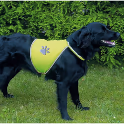 TRIXIE 30084 pettorina di sicurezza per cani XL Poliestere Giallo - Vista aggiuntiva 2