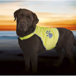 TRIXIE 30084 pettorina di sicurezza per cani XL Poliestere Giallo - Vista aggiuntiva 3