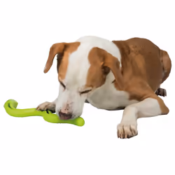 TRIXIE 34949 accessorio per l'addestramento al comportamento di cani e gatti Cane Gioco di strategia di addestramento - Vista aggiuntiva 6