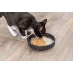 TRIXIE 42692 cibo umido per gatti 80 g