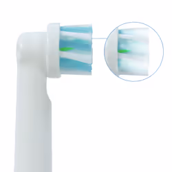 SCANPART 3304000020 accessorio per spazzolino elettrico