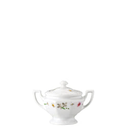 Rosenthal 10430-407165-14330 zuccheriera Porcellana