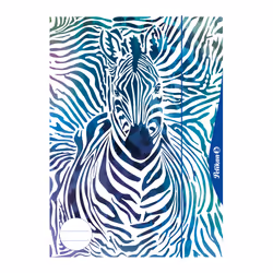 Pelikan 240406, Cartella per disegni, A4, Blu, Bianco, Fascia elastica