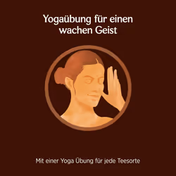 Yogi Tea - Cioccolato 17x2 g Bustine filtro