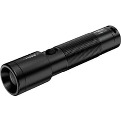 Ansmann - Future T200F led (monocolore) Torcia tascabile Cinturino a batteria 200 lm 146 g