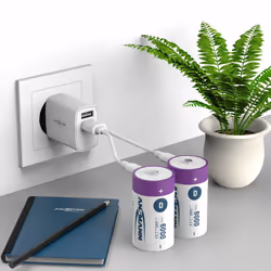 Ansmann 1314-0005 batteria per uso domestico Batteria ricaricabile D Ioni di Litio - Vista aggiuntiva 8