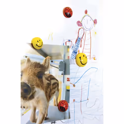 Magnetoplan 16671 accessorio board Magnete per lavagna bianca