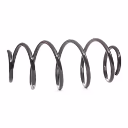 SACHS 993 353 Molle ammortizzatori FIAT: BRAVO 2